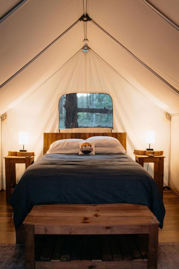 Hotel Treehouse Cozy Glamping Site Branson Exterior foto